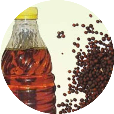 Mustard Oil