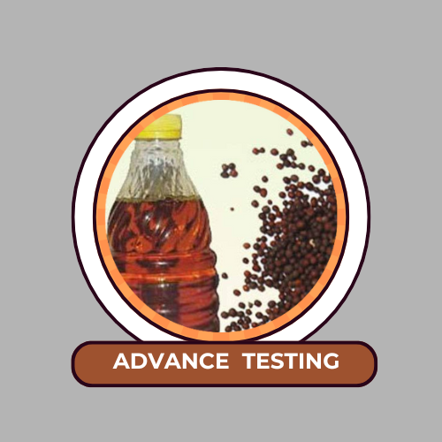 Orange and Blue Illustrative Circle Food Logo (27) Advance Testing - Image 1